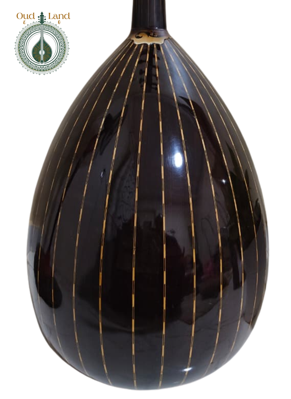 Arabic Oud 1 - The Arab Legacy (Acoustic Oud) (001)