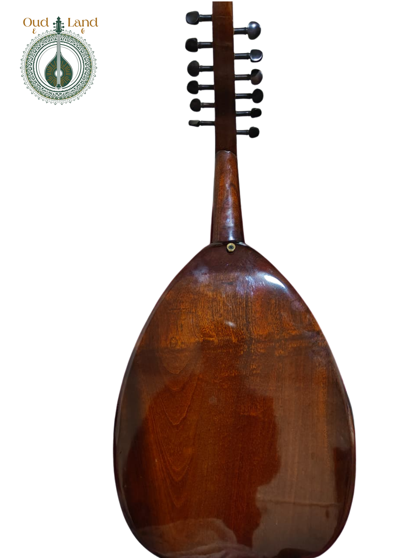 Turkish Oud 1 - Bosphorus Pulse: Hand-Carved One-Piece Turkish Oud (Acoustic-Electric) (002)