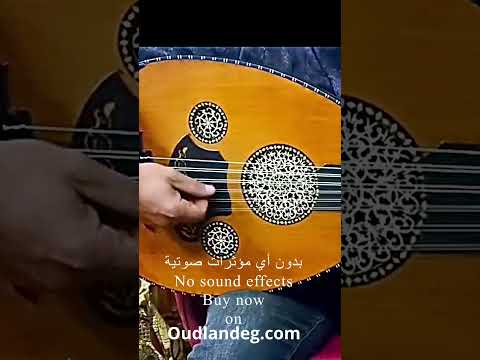 Arabic Oud 1 - The Arab Legacy (Acoustic Oud) (001)